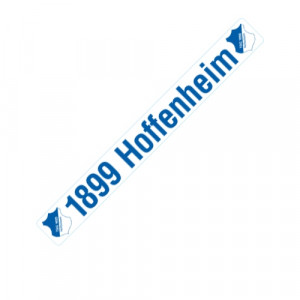 Autoaufkleber Schriftzug gross TSG 1899 Hoffenheim